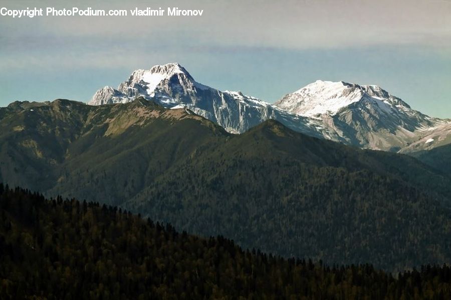 Crest, Mountain, Mountain Range, Outdoors, Peak, Conifer, Fir
