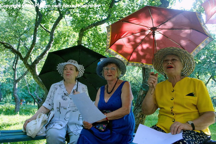 People, Person, Human, Umbrella, Forest, Vegetation, Female