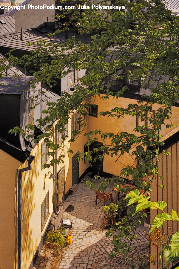 Ivy, Plant, Vine, Potted Plant, Building, Cottage, Housing
