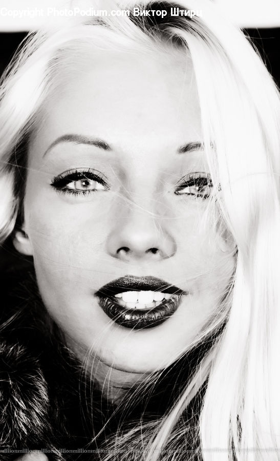 Human, People, Person, Blonde, Female, Woman, Face