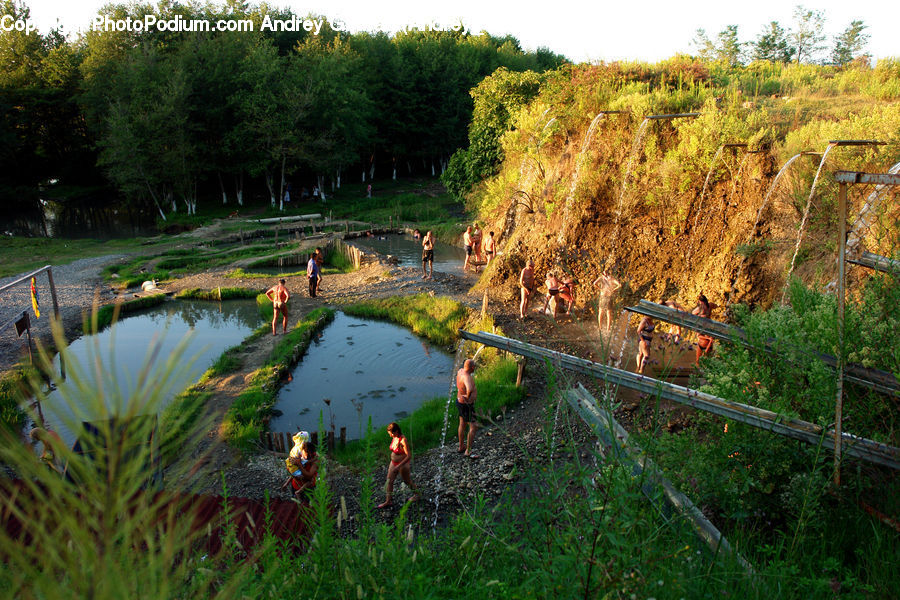Outdoors, Pond, Water, Field, Grass, Grassland, Plant