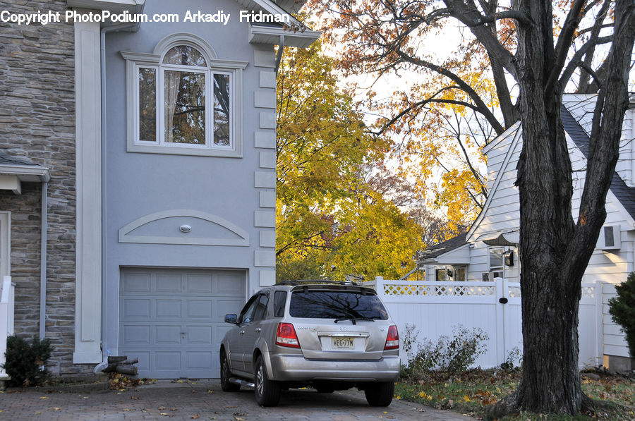 Car, Suv, Vehicle, Oak, Tree, Wood, Building