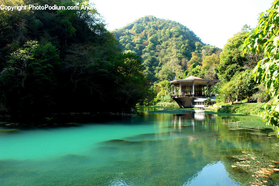 Gazebo, Plant, Potted Plant, Outdoors, Pond, Water, Forest
