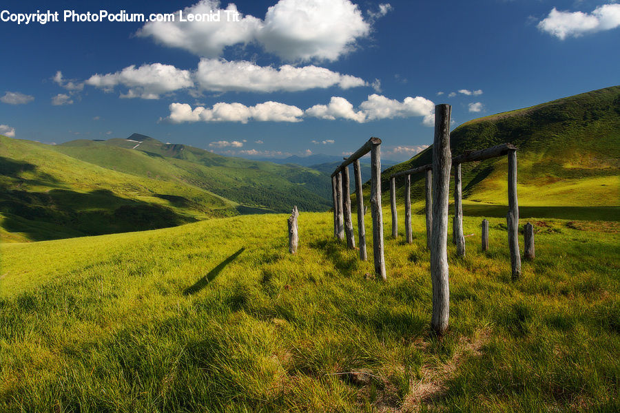 Field, Grass, Grassland, Land, Outdoors, Plant, Countryside