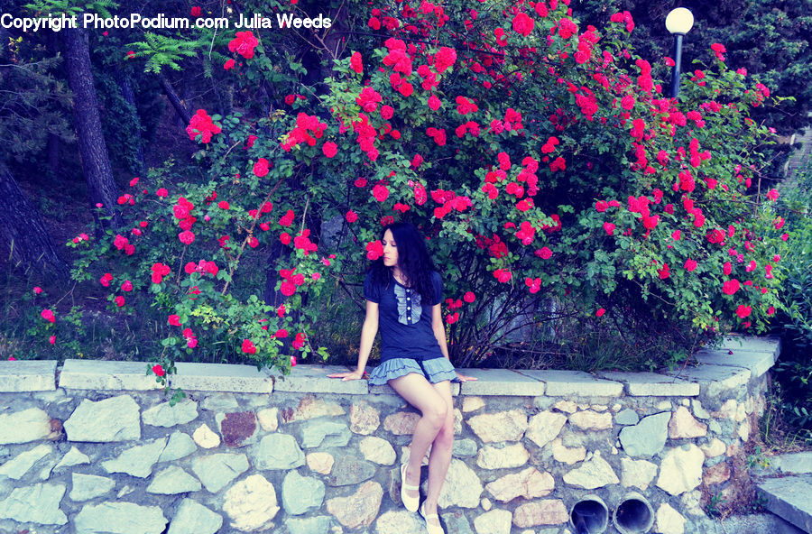 Plant, Potted Plant, Female, Person, Backyard, Yard, Art