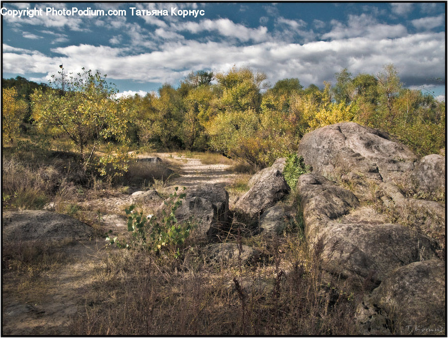 Countryside, Hill, Outdoors, Bush, Plant, Vegetation, Rock