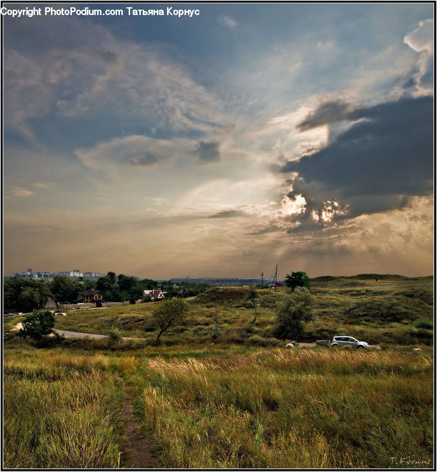Field, Grass, Grassland, Land, Outdoors, Cloud, Cumulus
