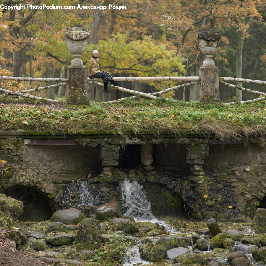 Rock, Creek, Outdoors, River, Water, Bunker, Plant