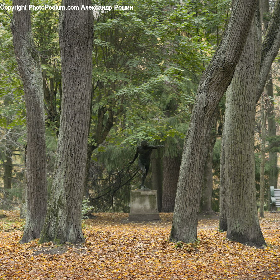 Forest, Grove, Land, Vegetation, Art, Sculpture, Statue