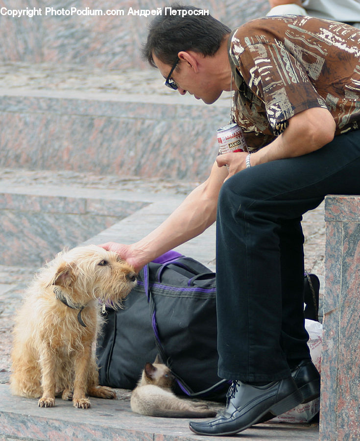 People, Person, Human, Hug, Kiss, Animal, Canine