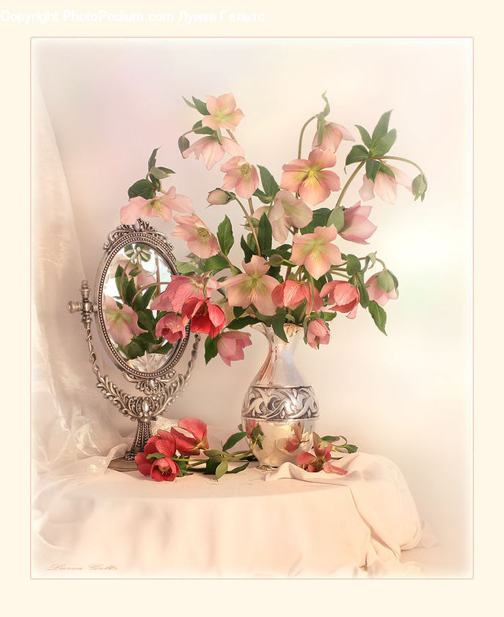 Blossom, Flora, Flower, Plant, Flower Arrangement, Ikebana, Potted Plant