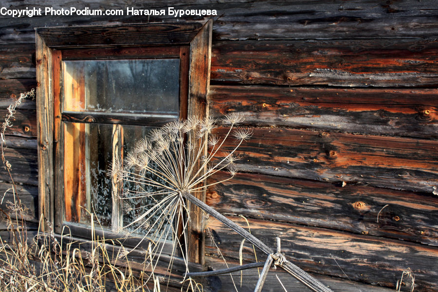 Rust, Box, Crate, Wood, Building, Hut, Log Cabin