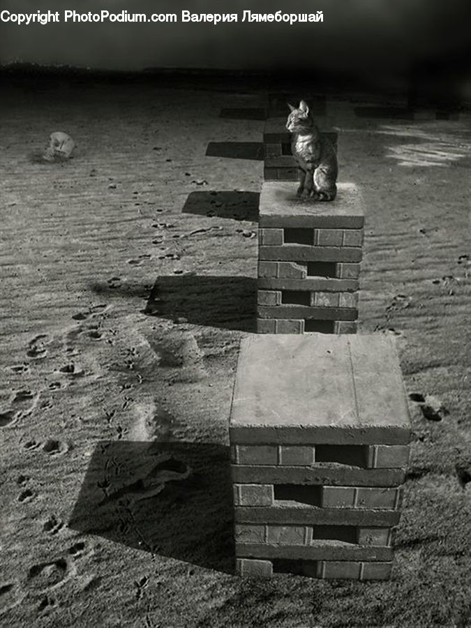 Brick, Outdoors, Storm, Weather, Asphalt, Tarmac, Sand