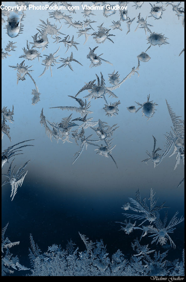 Frost, Ice, Outdoors, Snow, Land, Marsh, Pond