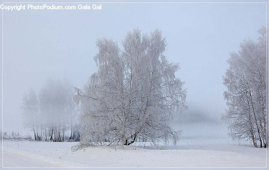 Blizzard, Outdoors, Snow, Weather, Winter, Landscape, Nature