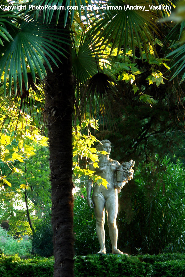 Art, Sculpture, Statue, Conifer, Fir, Spruce, Wood