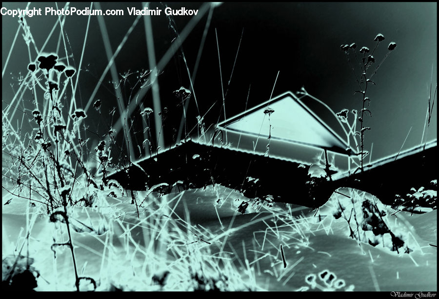 Cabin, Hut, Rural, Shack, Shelter, Building, Housing
