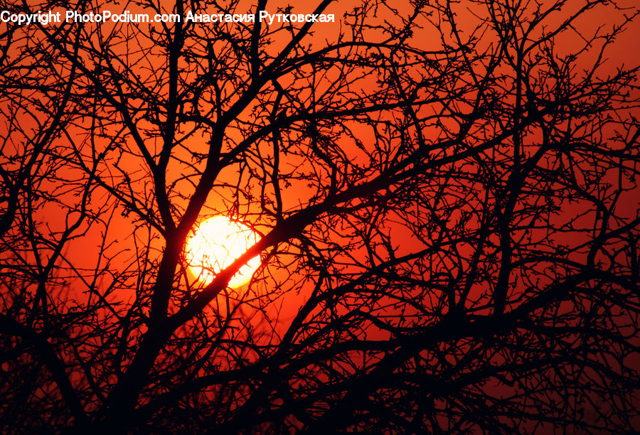 Dusk, Outdoors, Sky, Sunlight, Sunrise, Sunset, Silhouette