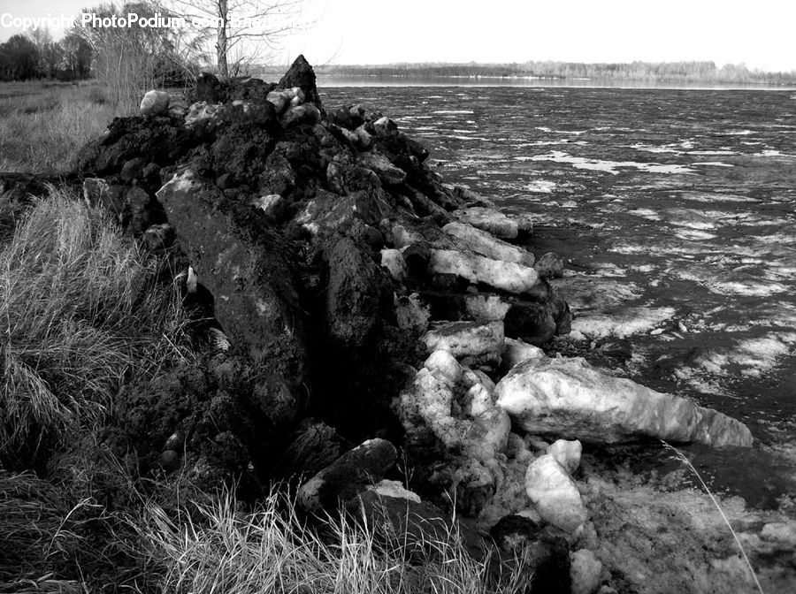 Rock, Coast, Outdoors, Sea, Water, Plant, Tree