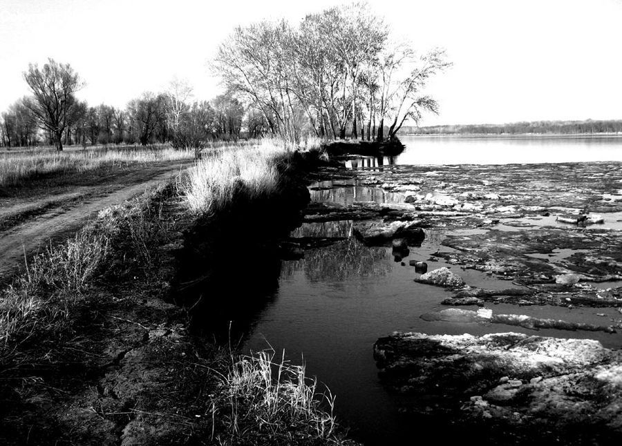 Canal, Outdoors, River, Water, Grass, Plant, Reed