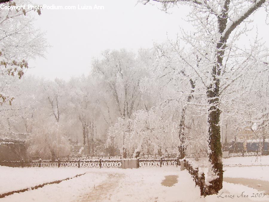 Frost, Ice, Outdoors, Snow, Landscape, Nature, Scenery