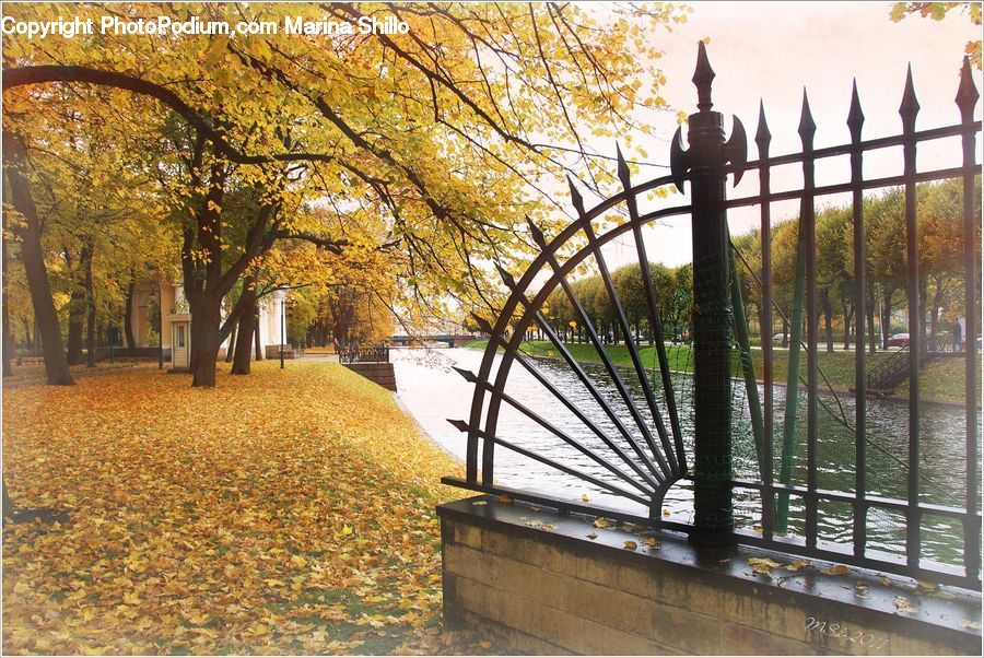 Bench, Boardwalk, Path, Pavement, Sidewalk, Walkway, Park