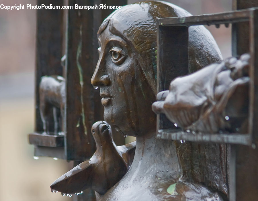 Head, Portrait, Animal, Anteater, Mammal, Art, Modern Art