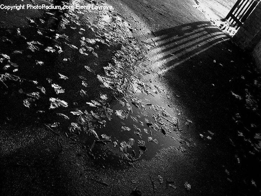 Asphalt, Tarmac, Water, Outdoors, Ripple, Alley, Alleyway