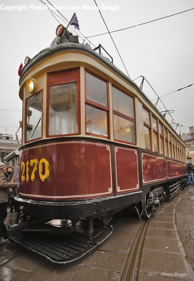 Train, Vehicle, Hardwood, Stained Wood, Wood, Engine, Machine