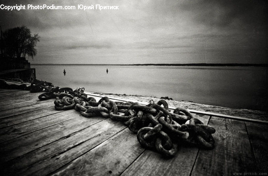 Plant, Potted Plant, Coast, Outdoors, Sea, Water, Chain