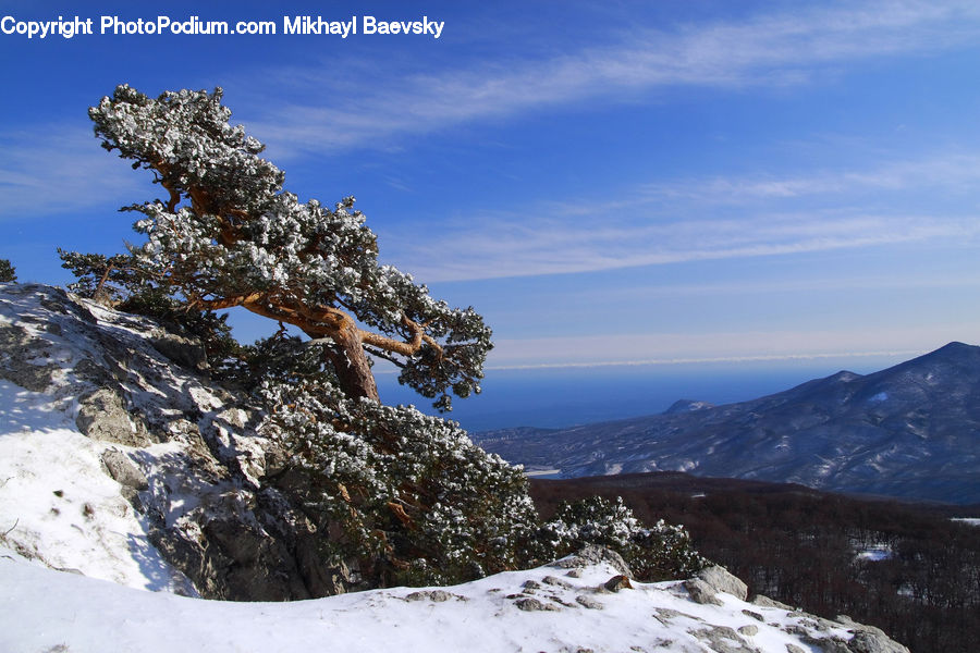 Crest, Mountain, Outdoors, Peak, Plant, Tree, Alps