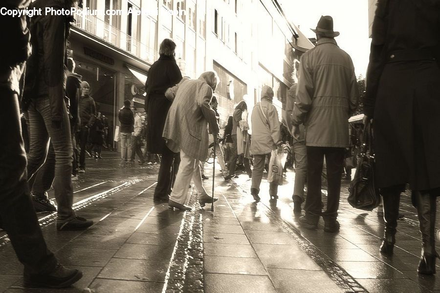Human, People, Person, Dance, Dance Pose, Tango, Leisure Activities