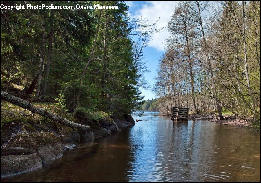 Creek, Outdoors, Stream, Water, Canal, River, Rock