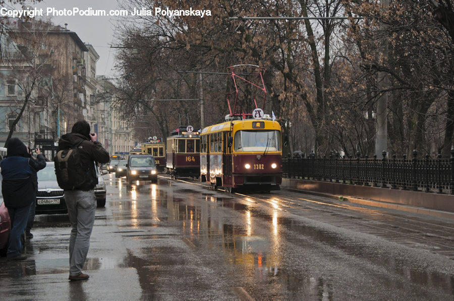 Human, People, Person, Rail, Streetcar, Tram, Trolley