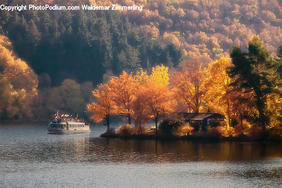 Building, Cottage, Housing, Outdoors, River, Water, Park