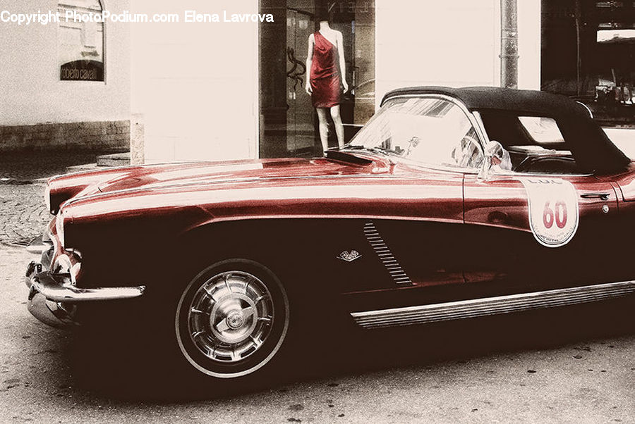 Automobile, Car, Vehicle, Convertible, Hot Rod, Sedan, Sports Car