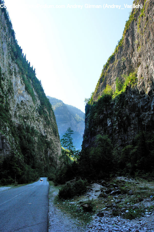 Forest, Vegetation, Asphalt, Tarmac, Grove, Land, Arctic