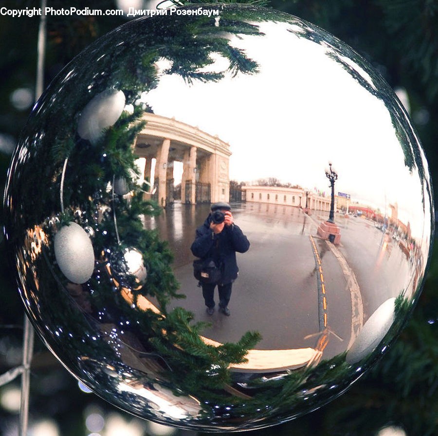 People, Person, Human, Bubble, Fisheye, Photographer, Conifer