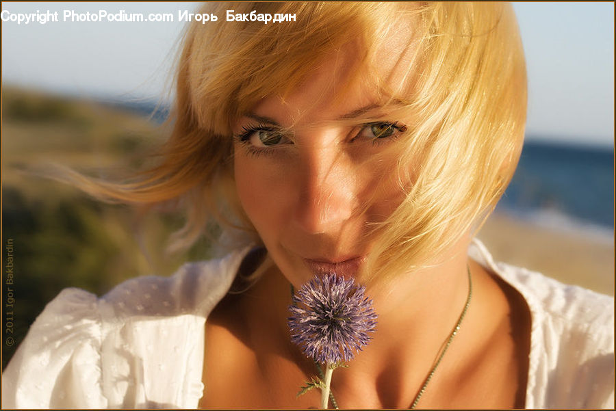 People, Person, Human, Flora, Flower, Plant, Thistle