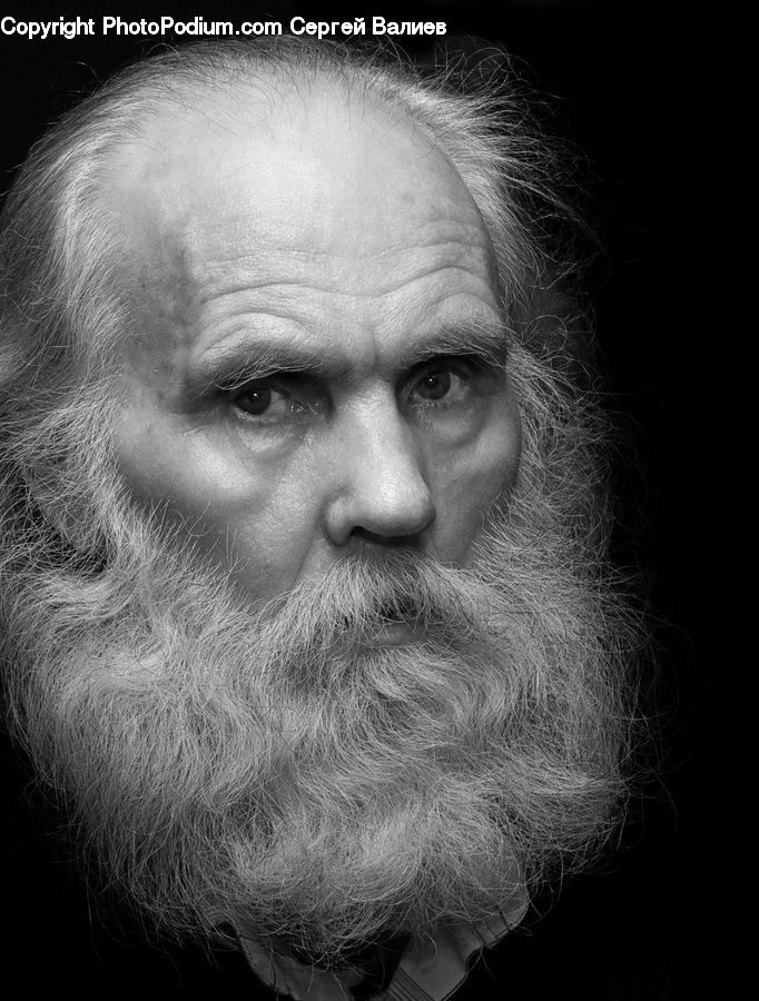 Beard, Hair, Person, Portrait, Head, Face