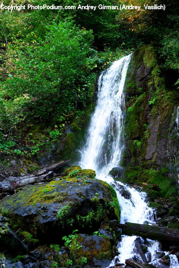 Creek, Outdoors, River, Water, Waterfall, Stream, Forest
