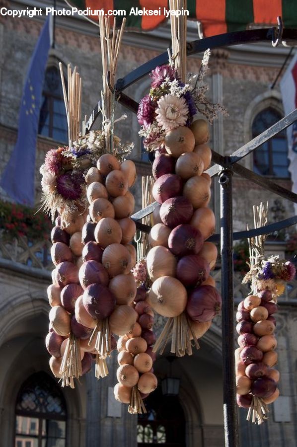 Plant, Potted Plant, Analog Clock, Clock, Market, Produce, Ball