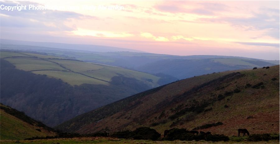 Field, Grass, Grassland, Land, Outdoors, Crest, Mountain