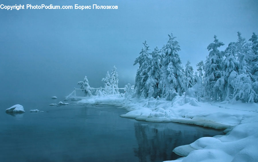 Arctic, Glacier, Ice, Mountain, Outdoors, Snow, Conifer
