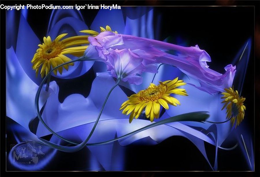 Plant, Potted Plant, Daisies, Daisy, Flower, Blossom, Flora