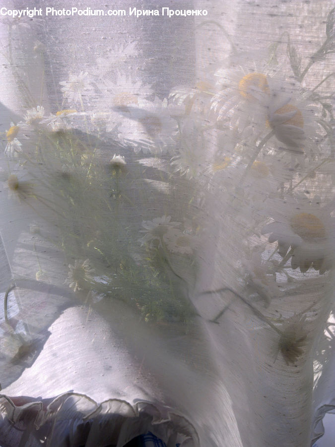 Glass, Outdoors, Sand, Soil, Lace, Cushion, Home Decor