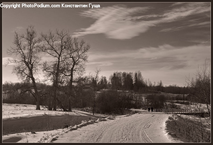 Countryside, Outdoors, Road, Path, Trail, Plant, Tree