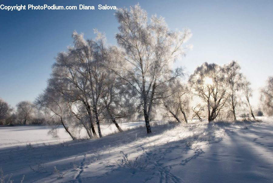 Frost, Ice, Outdoors, Snow, Landscape, Nature, Scenery