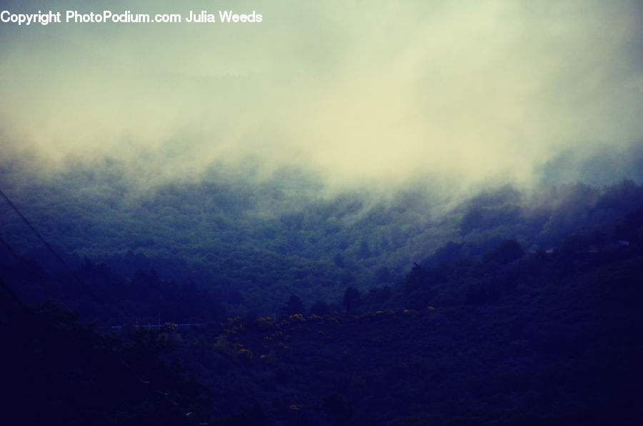 Fog, Mist, Outdoors, Field, Grass, Grassland, Plant