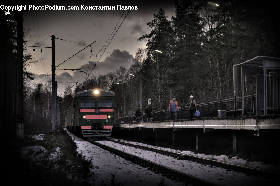 Rail, Train Track, Train, Vehicle, Locomotive, Transportation, Passenger Car